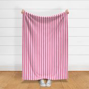 Large Pink Stripes