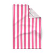 Large Pink Stripes