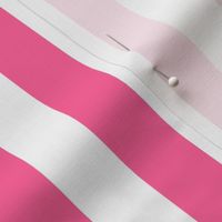 Large Pink Stripes