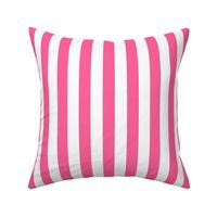 Large Pink Stripes