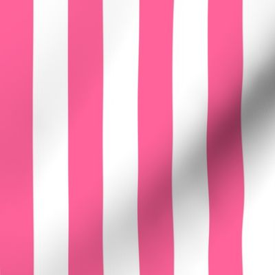 Large Pink Stripes