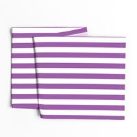 Large Purple Stripes