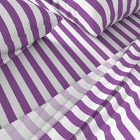 Large Purple Stripes