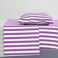 Large Purple Stripes