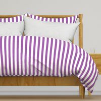 Large Purple Stripes