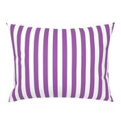 Large Purple Stripes