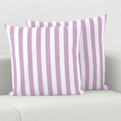 Large Lavender Stripes