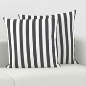 Large Charcoal Stripes