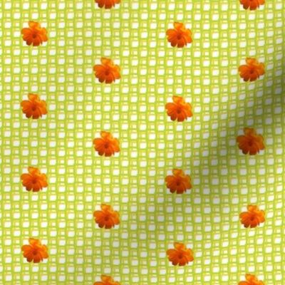 Orange Cosmos flower on yellow and green woven square background