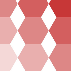 Hexies salmon white