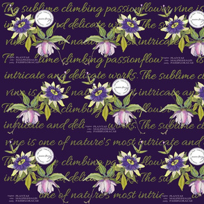 Passionflower Repeat Purple