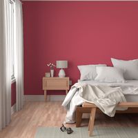 claret red solid ⸬ pantone colorstrology - color of the month november