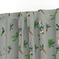 Peter Rabbit Toss - Modern Gray Gingham - Medium Scale