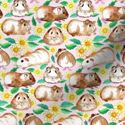 Little Guinea Pigs and Daisies in Watercolor on Light Pink