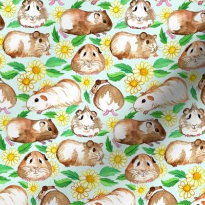 Little Guinea Pigs and Daisies in Watercolor on Pale Mint