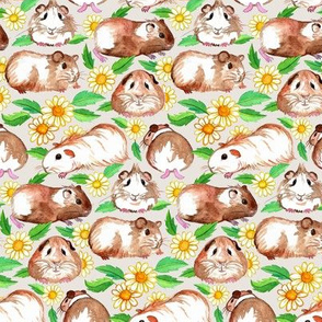Little Guinea Pigs and Daisies in Watercolor on Light Tan