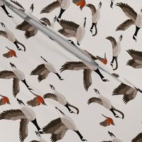 gueth_migratory_birds_half_size