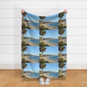 California Beach FQ size