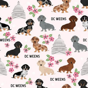 DC capitol dachshund dog breed fabric cherry blossoms pink