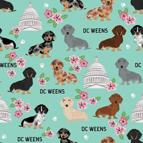 DC capitol dachshund dog breed fabric cherry blossom mint  