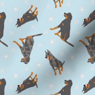 Tiny Beaucerons - winter snowflakes