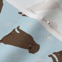 Tiny Chocolate Labrador Retrievers - winter snowflakes