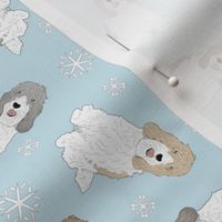 Tiny Petit Basset Griffon Vendeen - winter snowflakes