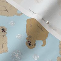 Tiny Wheaten Terrier - winter snowflakes