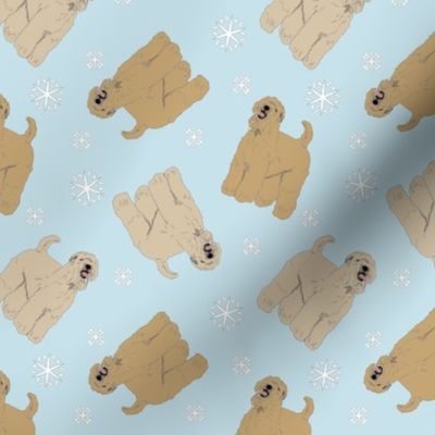 Tiny Wheaten Terrier - winter snowflakes