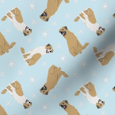 Tiny Anatolian Shepherd dogs - winter snowflakes