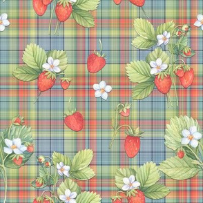 WATERCOLOR STRAWBERRIES ON AQUA PLAID spring summer FLWRHT