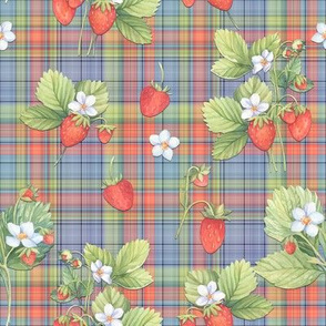 WATERCOLOR STRAWBERRIES ON BLUE PLAID