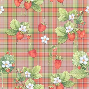 WATERCOLOR STRAWBERRIES ON CORAL PLAID