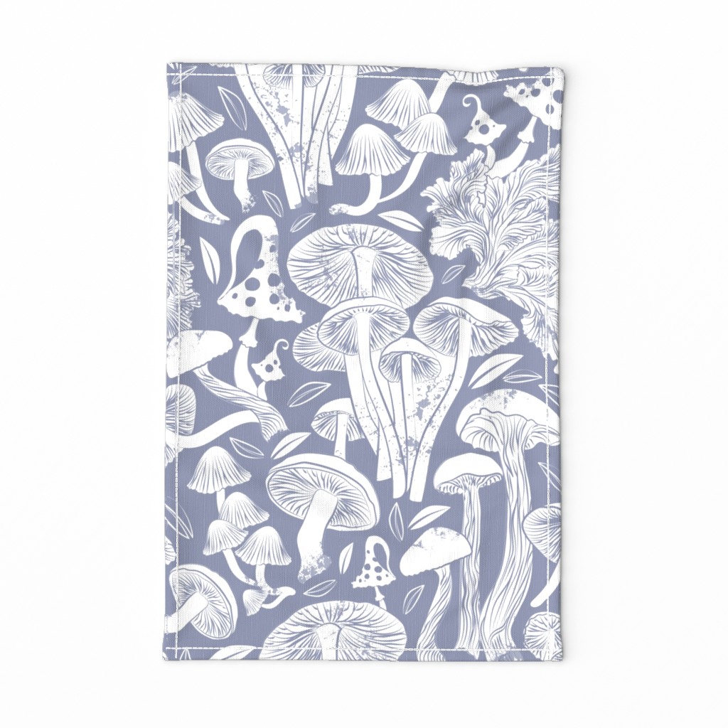 Normal scale // Delicious Autumn botanical poison // pale blue grey background white mushrooms