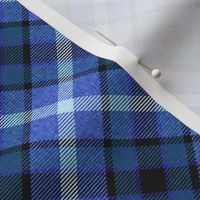 Blue Apple Plaid