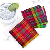 BRIGHT FRUITY TROPICAL PLAID MADRAS SUMMER