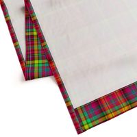 BRIGHT FRUITY TROPICAL PLAID MADRAS SUMMER