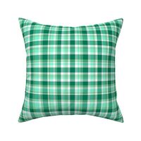 Holiday Spearmint Plaid