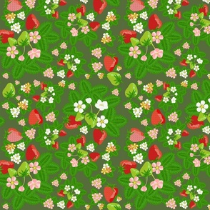 strawberry_patch_blooms_disperse