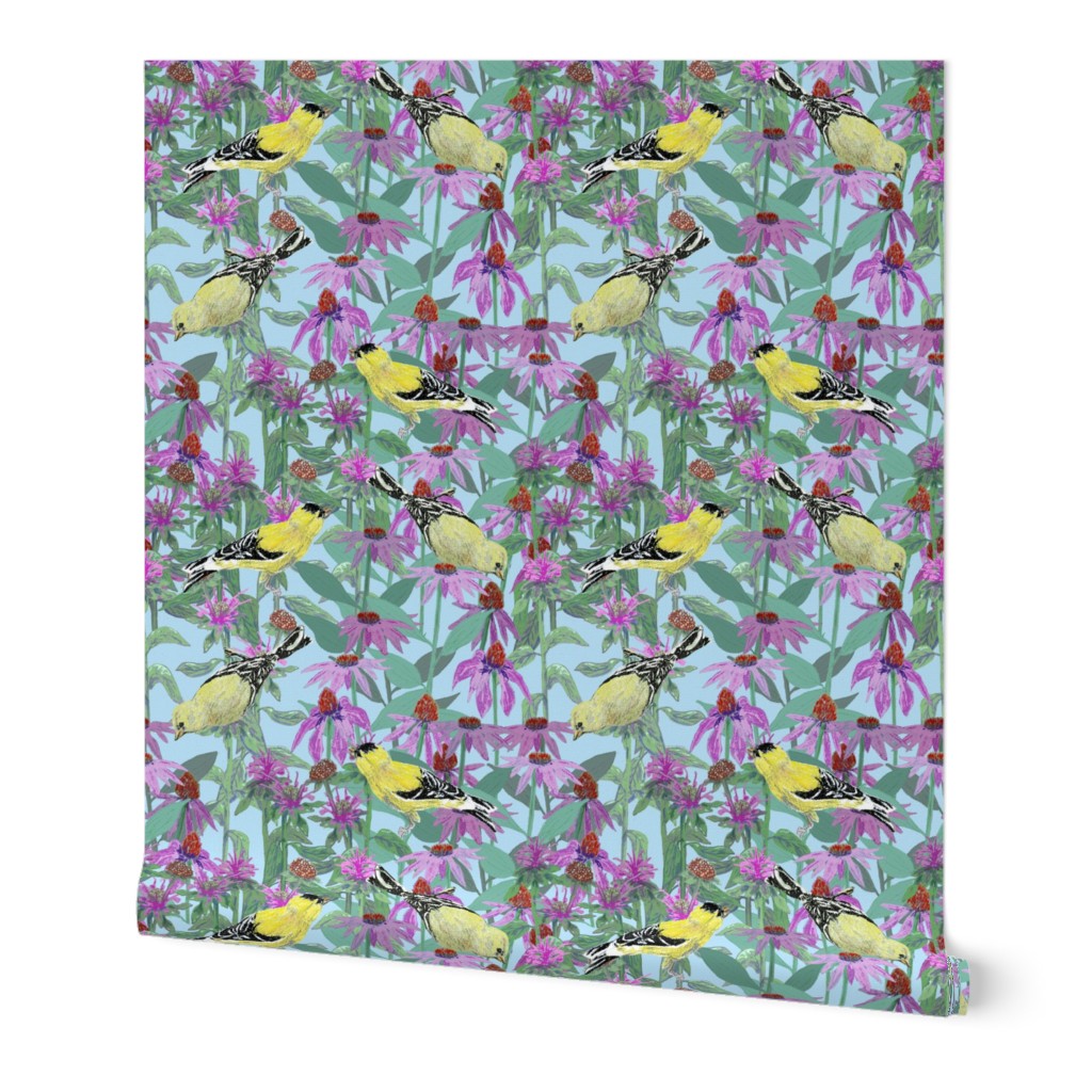 bee_balm_and_cone_flowers_and_gold_finches_off_set_C