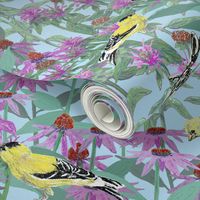 bee_balm_and_cone_flowers_and_gold_finches_off_set_C