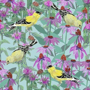 bee_balm_and_cone_flowers_and_gold_finches_off_set_B