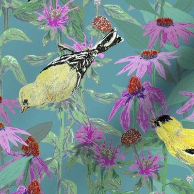 bee_balm_and_cone_flowers_and_gold_finches_off_set_hG