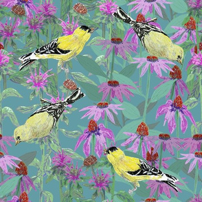 bee_balm_and_cone_flowers_and_gold_finches_off_set_hG