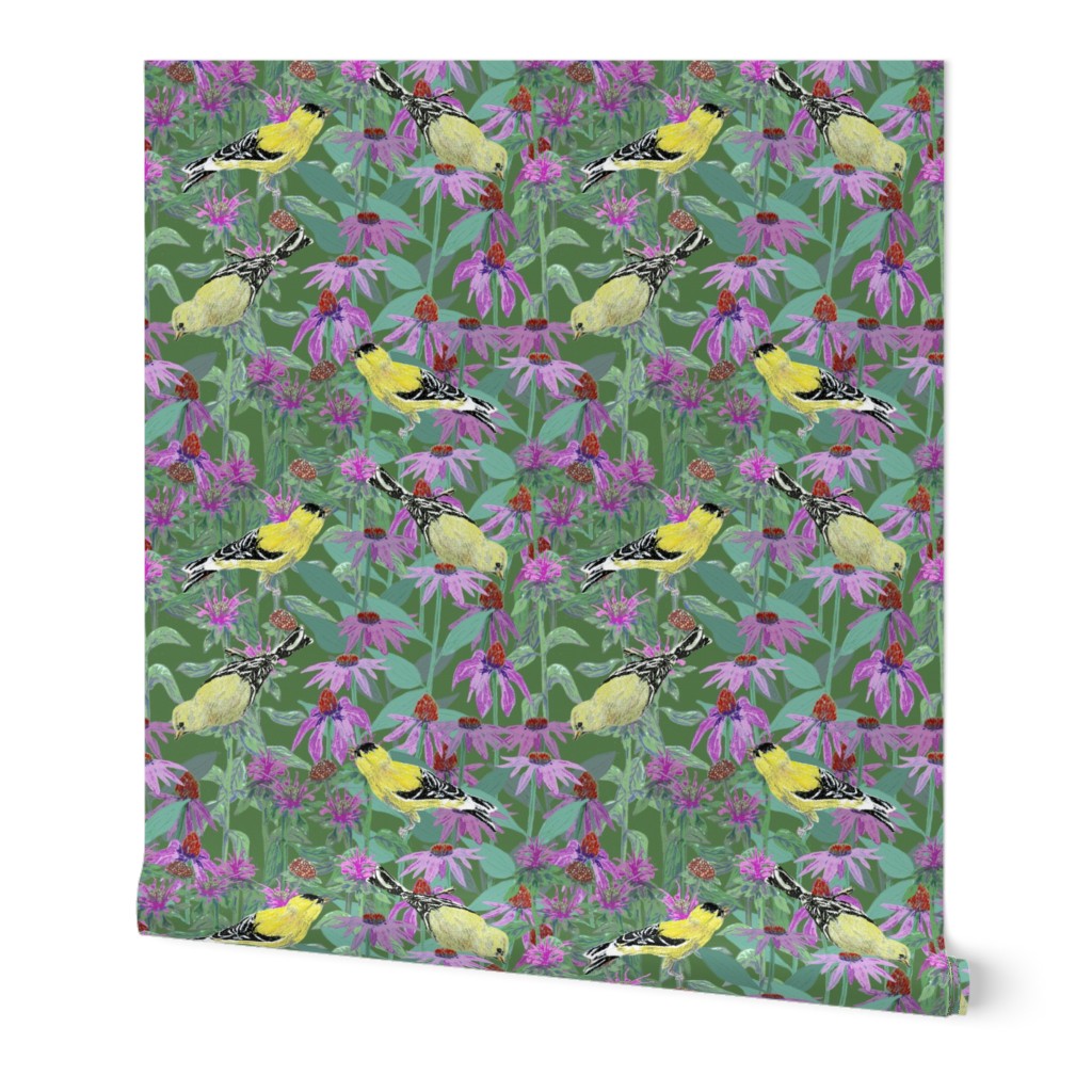 bee_balm_and_cone_flowers_and_gold_finches_off_set_G