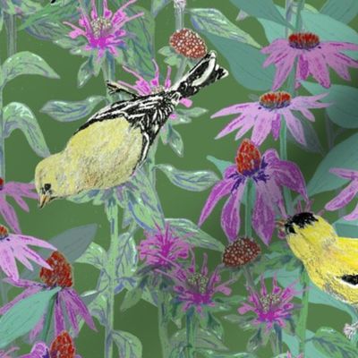 bee_balm_and_cone_flowers_and_gold_finches_off_set_G