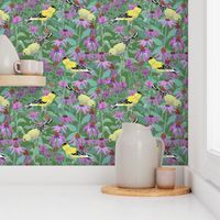 bee_balm_and_cone_flowers_and_gold_finches_off_set_G