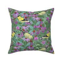 bee_balm_and_cone_flowers_and_gold_finches_off_set_G