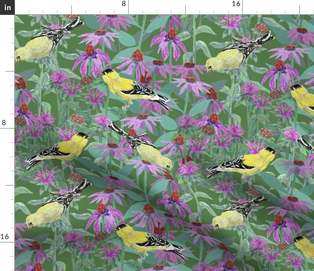 bee_balm_and_cone_flowers_and_gold_finches_off_set_G