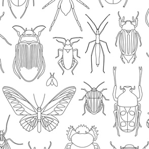 Bugs Coloring In Design